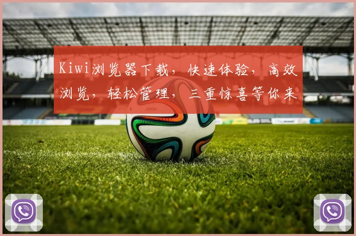 Kiwi浏览器下载，快速体验，高效浏览，轻松管理，三重惊喜等你来