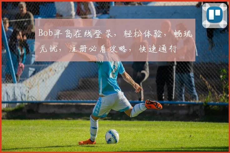 Bob半岛在线登录，轻松体验，畅玩无忧，注册必看攻略，快速通行